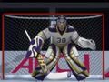Peli Jääkiekko -ammunta verkossa