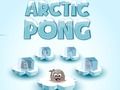 Peli Arktinen Pong  verkossa