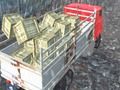 Peli Offroad-kuorma-autonkuljettaja  verkossa