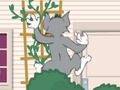 Peli Tom und Jerry: Wasserbomben Wahnsinn verkossa Peli Tom und Jerry: Wasserbomben Wahnsinn verkossa