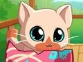 Peli Oma Pocket Lemmikit Kitty Cat  verkossa