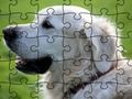 Peli Jigsaw Puzzle Kotieläimet  verkossa