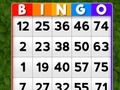 Peli Bingo verkossa