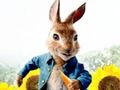 Peli Peter Rabbit: Trouble in the Maze  verkossa