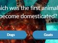 Peli Eläinten trivia verkossa Peli Eläinten trivia verkossa