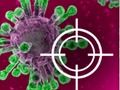 Peli Tuhoa virus  verkossa