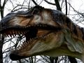 Peli T-Rex-dinosaurus palapeli  verkossa