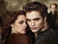 Peli Twilight palapeli kokoelma  verkossa