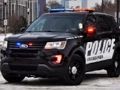 Peli Poliisiauton palapeli  verkossa