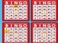 Peli Bingo -bash verkossa