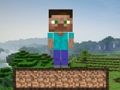 Peli Minecraft Survival  verkossa