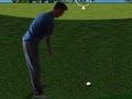 Peli Flash Golf 3D  verkossa