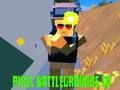 Peli Pixel Battlegrounds. IO  verkossa