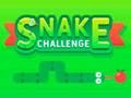 Peli Snake Challenge verkossa