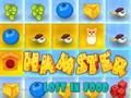Peli Hamsteri eksynyt ruokaan  verkossa