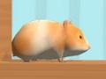Peli Hamster Maze verkossa  verkossa