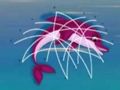 Peli Delfiinien pelastus verkossa Peli Delfiinien pelastus verkossa