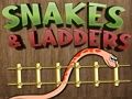 Peli Snake & Tikkaat  verkossa
