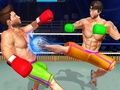 Peli Kehonrakentaja Ring Fighting Club Wrestling  verkossa