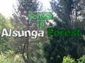 Peli Paluu Alsungan metsään  verkossa
