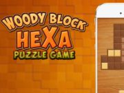 Peli Woody Block Hexa -palapeli  verkossa