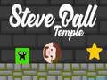Peli Steve Ballin temppeli  verkossa
