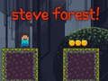 Peli Steve Forest verkossa