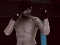 Peli MFS: MMA -taistelija verkossa