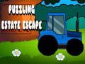 Peli Hämmentävä Estate Escape  verkossa
