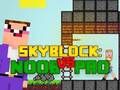 Peli Noob vs pro skyblock verkossa