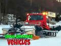 Peli Snow Groomer -ajoneuvot  verkossa