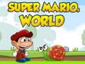Peli Super Marios -maailma verkossa