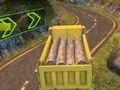 Peli Euro Truck Drive verkossa