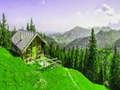 Peli Alpine Mountain -paavi verkossa