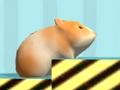 Peli Hamsteri Vahvistaaksesi  verkossa
