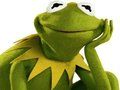 Peli Värityskirja Kermit-sammakolle  verkossa