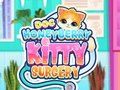 Peli Tohtori HoneyBerry Kitty Surgery  verkossa