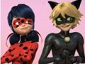 Peli Ihmeellinen leppäkerttu & Cat Noir palapeli  verkossa