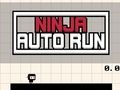 Peli Ninja -automaattinen ajo verkossa