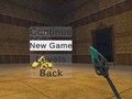 Peli Run-vangeon verkossa