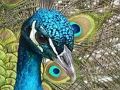 Peli Palapelisarja  verkossa