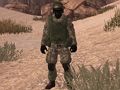Peli Kotimaan sotilas: Sahara  verkossa