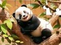 Peli Palapeli: Panda on Tree  verkossa