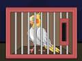 Peli Vapauta Cockatiel Bird  verkossa