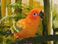Peli Söpö Budgie-palapeli  verkossa