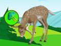 Peli Deer Meadow Escape  verkossa