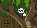 Peli Panda -viidakon paeta verkossa