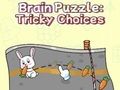 Peli Brain Puzzle: Hankalia valintoja  verkossa
