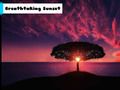 Peli Henkeäsalpaava auringonlasku  verkossa