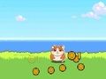 Peli Hamster Kombat Clicker verkossa